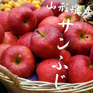  荠 4kg R`Y 󂠂 Tӂ  4kg W[V[ R` ̂ /S/󂠂/ƒp/킯