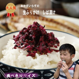 ӂ肩 ΒЂ TCY 40g I[g~[ĉ ۑH H H ӂ肩 