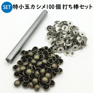 ʃJV100 a9x6mm ł_+JVZbg̔ { ^Jf U[NtgX^[gZbg@HZbg