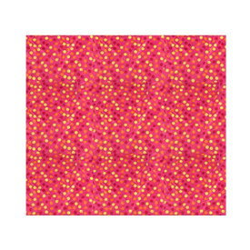 【公式】レインポンチョ 自転車 サイクル メンズ レディース 男女兼用 防水 ジッパー レインコート レインウェア おしゃれ かわいい マルチドット 入学 通勤 通学 フェス 合羽 雨具 収納袋 送料無料 06003070