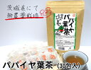 国産 パパイヤ葉茶 （30包入）/メール便 パパイヤ茶 お茶 ティーバッグ ティーパック ティーパックお茶 無農薬茶 ノンカフェインティー パパイヤ 美味しい 茶 青パパイヤ 無農薬 パパイア 青 健康茶 ノンカフェイン 寝る前 カフェインフリー 安全 サポニン パパイン酵素