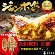 【2】丸上 の ジャンボ餃子 20個(5個×4パック)【累計8億個販売】幻 餃子 ぎょうざ ギョウザ ギョーザ 冷…