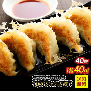 ジャンボ餃子 40個 (5個×8パック)【送料無料】【丸上食品工業 業務用 国産 ぎょうざ ギョーザ ギョウザ 冷凍 冷凍餃子 にんにく 中華 点心 大きい 特大 ビッグ 小分け お取り寄せ グルメ ギフト まとめ買い 丸上食品工業】