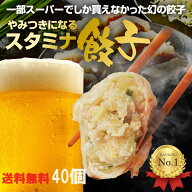 【5】丸上の スタミナ餃子 40個 (10個×4パック)餃子 お取り寄せ 国産 冷凍 お酒のおつまみギフト 焼き餃…