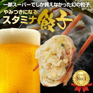 【4】丸上の スタミナ 餃子 80個 (10個×8パック)冷凍 焼 ぎょうざ 水餃子 国産 生餃子 冷凍餃子 業務用 …