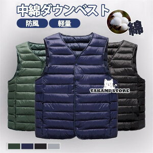 ȃ_ExXg Y `bL St h H~t Ȃ W Ci[ y h  AEghA oR jp