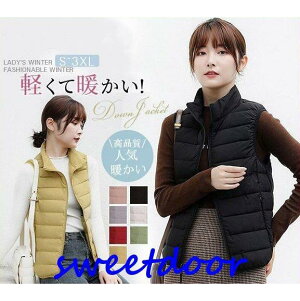  _ExXg fB[X y Cg_E H tFU[ Ci[ g ~xXg h IV Vbg