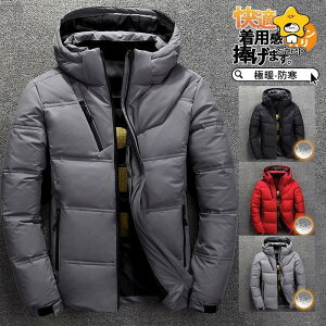 _EWPbg Y _ER[g y j tFU[ R[g Cg_E H WPbg ~ H~ Ci[ AE^[  h g h ۉ