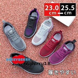 Xj[J[ fB[X EH[LO JWAV[Y WMO bV ʊw ʋ  t H AE^[ ₷ ɂȂ