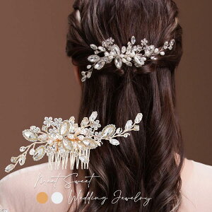 wbhhX R[  wAANZT[ 񎟉 \  ԉ a  Ǝ p[eB[ EFfBO uC_ Vo[ S[h