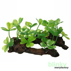 lH  O[ ANAE Mы _J  CAEg pi {  CAEgpi 