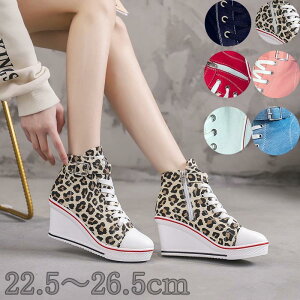 Xj[J[ fB[X 8cmq[ 傫TCY 22cm-26.5cm EFbW\[ V[Y C LoX  r