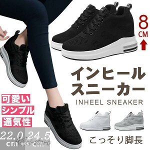 Xj[J[ fB[X Cq[Xj[J[  EH[LOV[Y r g8cmAbv q[ Cq[ ɂ ɂ 