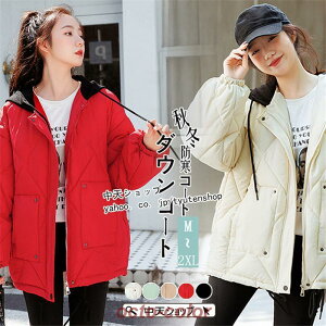 _EWPbg V[g H~R[g fB[X U  _ER[g AE^[ ؍ g 2030   o `2XL S5F