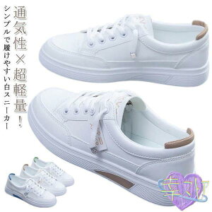 fB[X Xj[J[  L y  ₷ ₷ O b ɂ r C\[  JWA t H