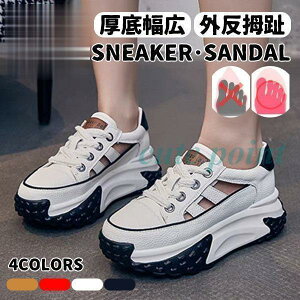 fB[X Xj[J[  L y Od tbg Xb| 20304050 ₷ ɂȂ EH[LO jO AEghA
