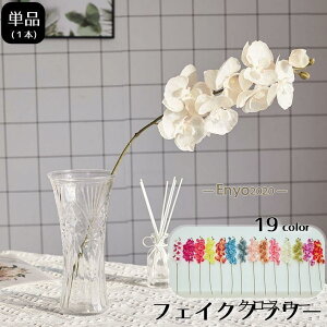  tFCNt[ 1{ Ӓ  Pi CeAG t[AWg lH ͂Ȃ i`   DIY  