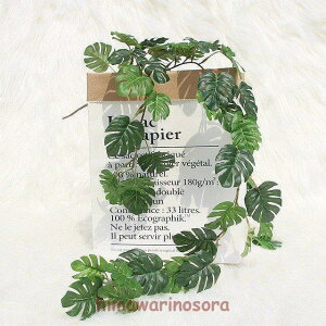 tFCNO[ lHϗtA ACr[    Ǌ| t CeA z[ ItBX x_ K[f 