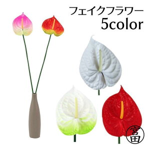  tFCNt[ 1{ AXE  CeAG t[AWg lH ͂Ȃ i`   DIY  