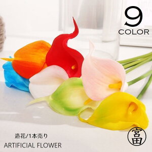  tFCNt[ Ӓ   t[ 1{ Pi ԏ A[eBtBVt[ A[gt[ CeAG t[AW