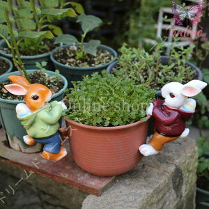 K[fjO IuWF K[fI[ig  LOi Mtg u ETM IV JCC h k  Aj} O[ G u