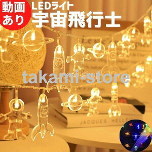 K[h NX}XCg Ɩ LEDCg F Fsm C~l[V NX}X t LED dr p[eB[ CeA 