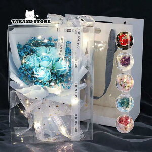 ̓ \[vt[ ԑ v[g LED Cgt u[P   {bNX Mtg v[g a l LO 