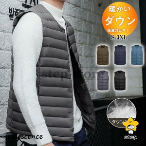 _ExXg Y WPbg fB[X Cg_E m[J[ Ȃ W Ci[_E H y g  h AEghA