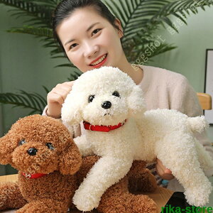 ʂ  ̂ʂ 킢 j̎q ̎q  gCv[h a  u {  R  CeA 