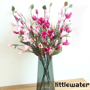 5{Zbg  CeA  G i` @@ԑ u[P tFCNO[@v[g Mtg