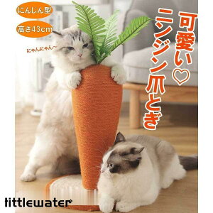 lQ jW  Lp܂Ƃ ^[ CeA ܂Ƃ XgX