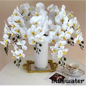 tFCN  Ӓ CeAt[ zCg  蕨 ԍ Ԏ v[gLO ̓ fB[X Mtg