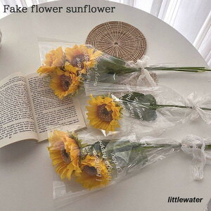 Ђ܂ q}  ԑ  CeA u[P ؍ G tFCNt[    ̓ a LO j |Cg