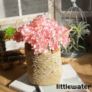  CeA  G i` @@ԑ AWTC u[P tFCNO[@v[g Mtg