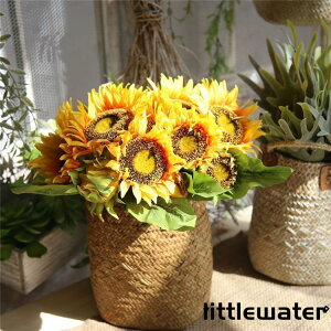  CeA Ђ܂   t[ ԏ u[P RT[W rO K[fjO A[gt[ Q   Mtg a