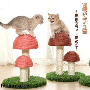 Lp܂Ƃ^[ ̂ LmR Lbg^[ CeA ܂Ƃ|[ XgX 