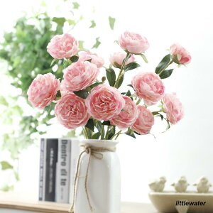  CeA O  t[ ԏ u[P RT[W rO K[fjO A[gt[ Q   Mtg a p[eB[