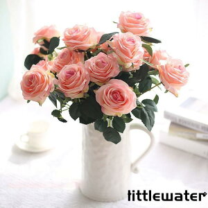 2{Zbg EGfBOu[P   ԉ u[P  ԑ [Y uC_u[P EFfBO AWg A[gt[ CeAt