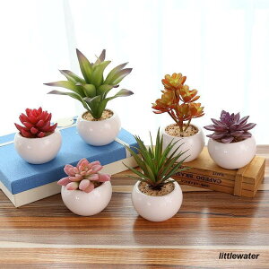 lHϗtA tFCNO[  A ~jTCY CeA   rO K[fjO K[f  Mtg 蕨 v[