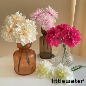 tFCN  _A CeAt[ 6{Zbg zCg  蕨 ԍ Ԏ v[gLO ̓ fB[X Mtg