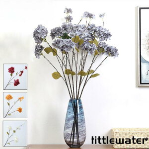 6{  CeA  G i` @@ԑ u[P tFCNO[@v[g Mtg