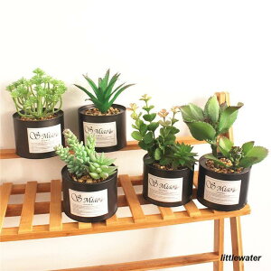 lHϗtA tFCNO[  ~jA ͂Ȃ  uL  u   G v[g 蕨 CeA