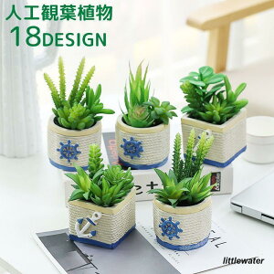 lHϗtA tFCNO[ tFCNϗtA   ~jA ~j A  CeA   rO Q tbV