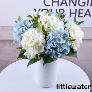  CeA AWTC  G i` @@ԑ u[P tFCNO[@v[g Mtg