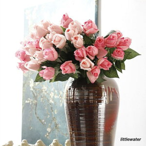  CeA KN o  t[ ԏ u[P RT[W rO K[fjO A[gt[ Q   Mtg a p[