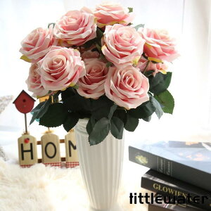  CeA [Yo`  G i` @@ԑ u[P tFCNO[@v[g Mtg