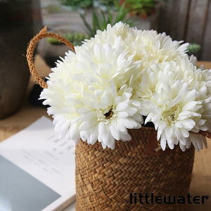 3{Zbg EGfBOu[P   ԉ u[P  ԑ uC_u[P EFfBO AWg A[gt[ CeAt