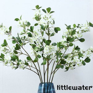 2{/6{  CeA  G i` @@ԑ u[P tFCNO[@v[g Mtg