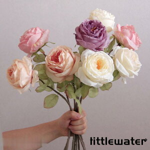 tFCN  [Y CeAt[ 3{Zbg zCg  蕨 ԍ Ԏ v[gLO ̓ fB[X KNo