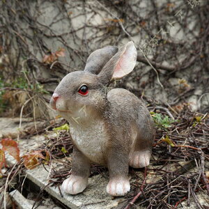 ̒u K[fjOG  AeB[N I[ig ETM K[f AEghA 낢u Ԓd̒u  ގ VNv[g